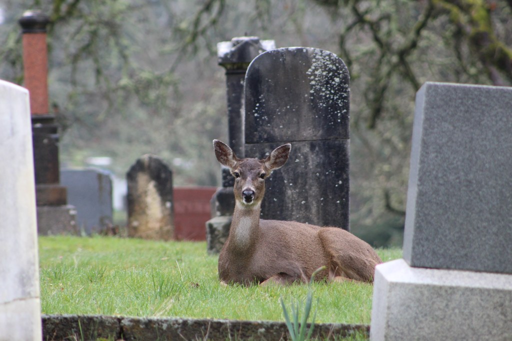 Salem Pioneer Cemetery
